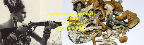 дживик Кодинск