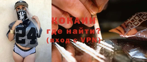 мдпв Козловка