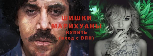 мдпв Козловка