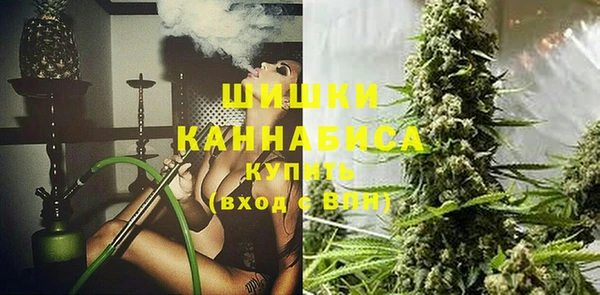 мдпв Козловка