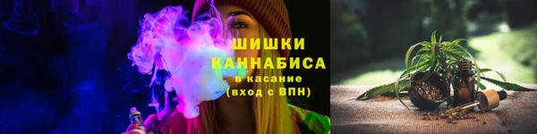 мдпв Козловка
