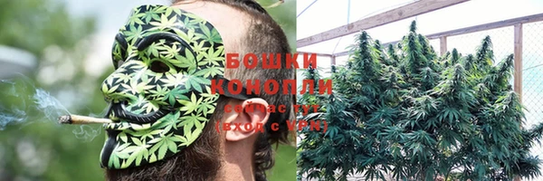 спайс Козельск