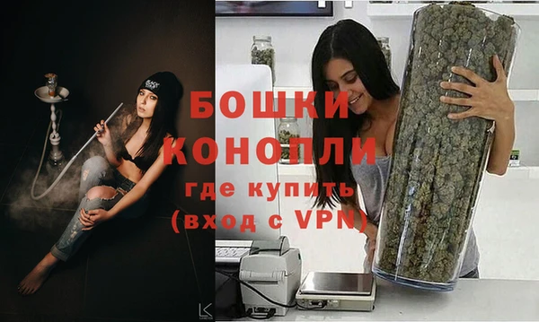 мдпв Козловка